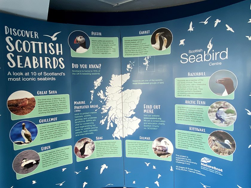 Inside the Scottish Seabird Centre
