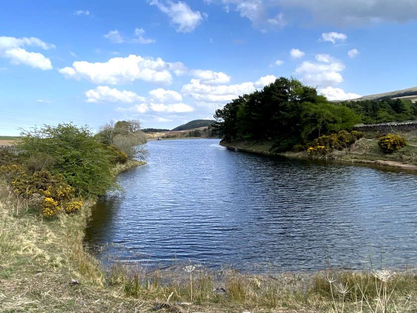 Looking back down Clubbiedean Reservoir