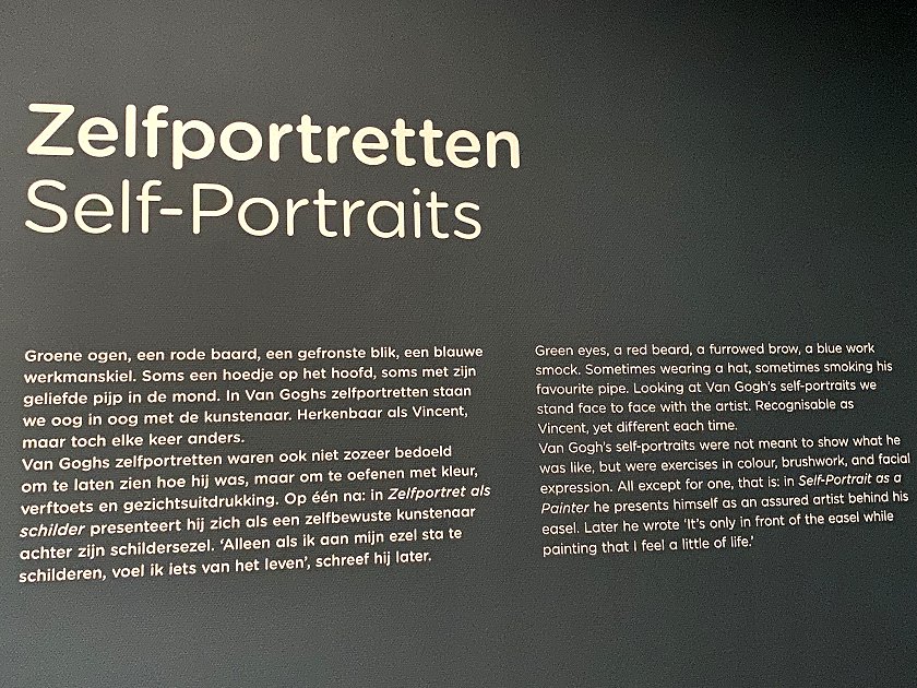 Introduction to the self-portraits